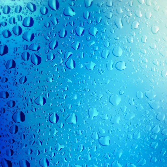 Meet your Posher, Lucica - Picture 1 of 1